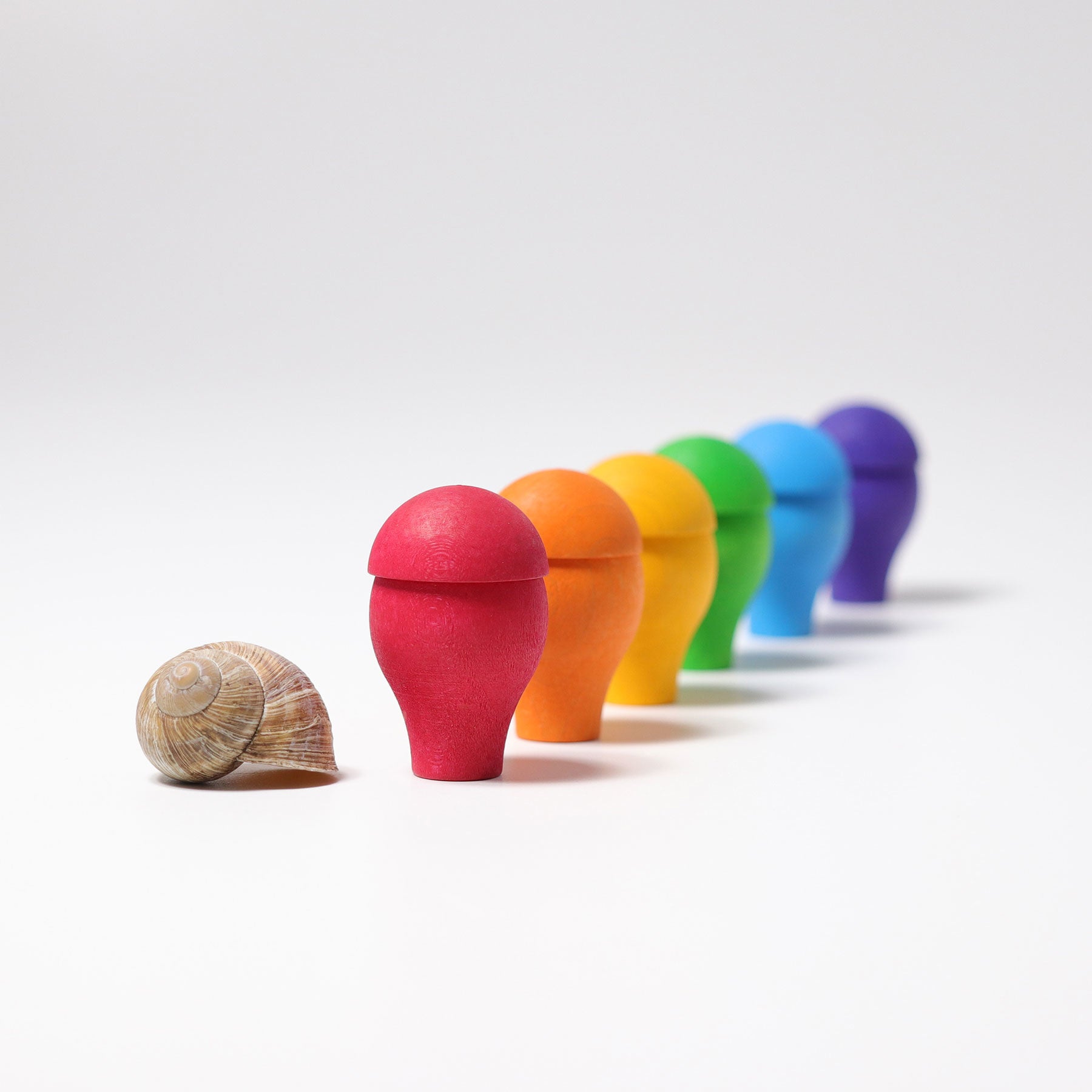 Regenboog Paddenstoelen