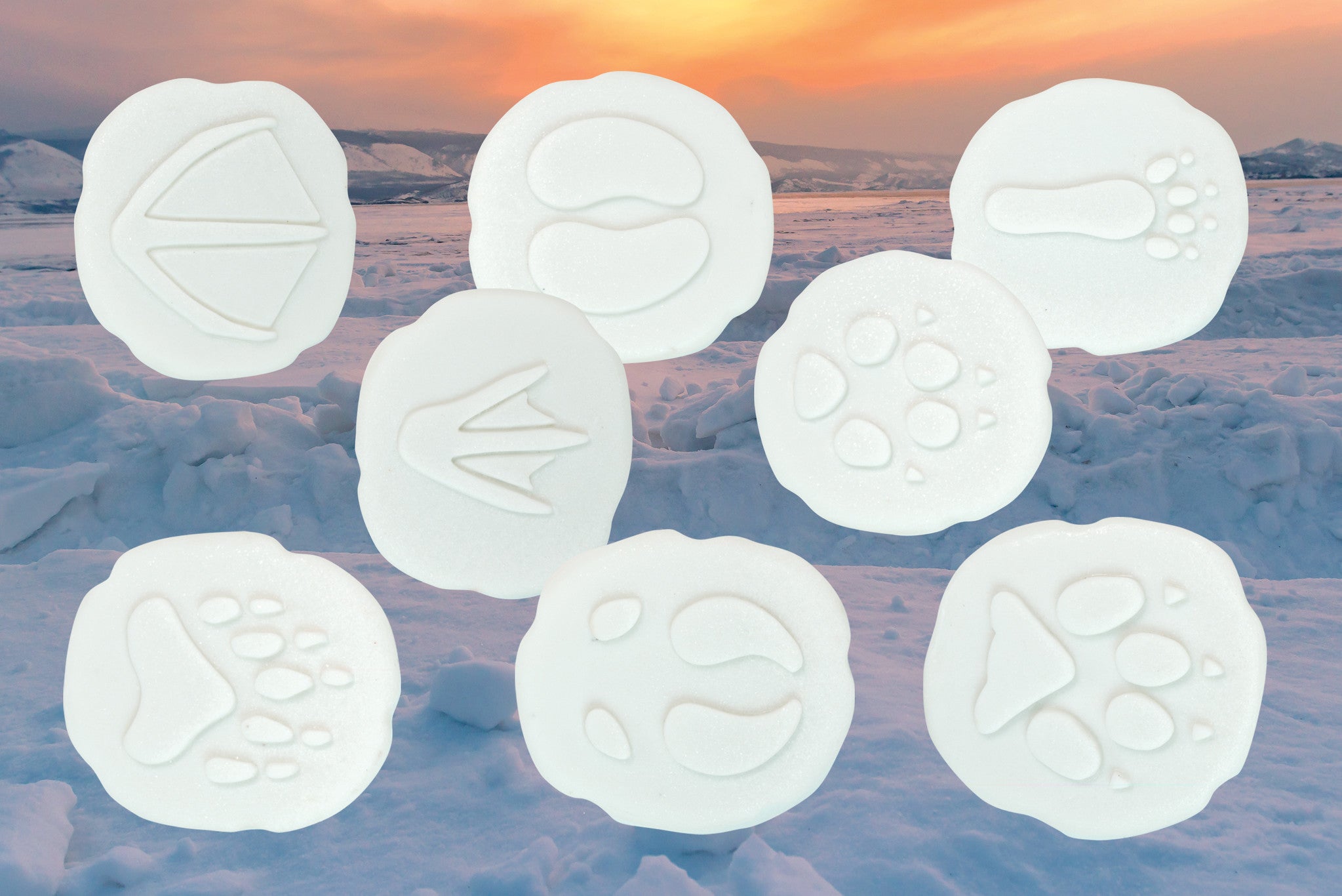 Let's investigate - Pooldieren pootafdrukken