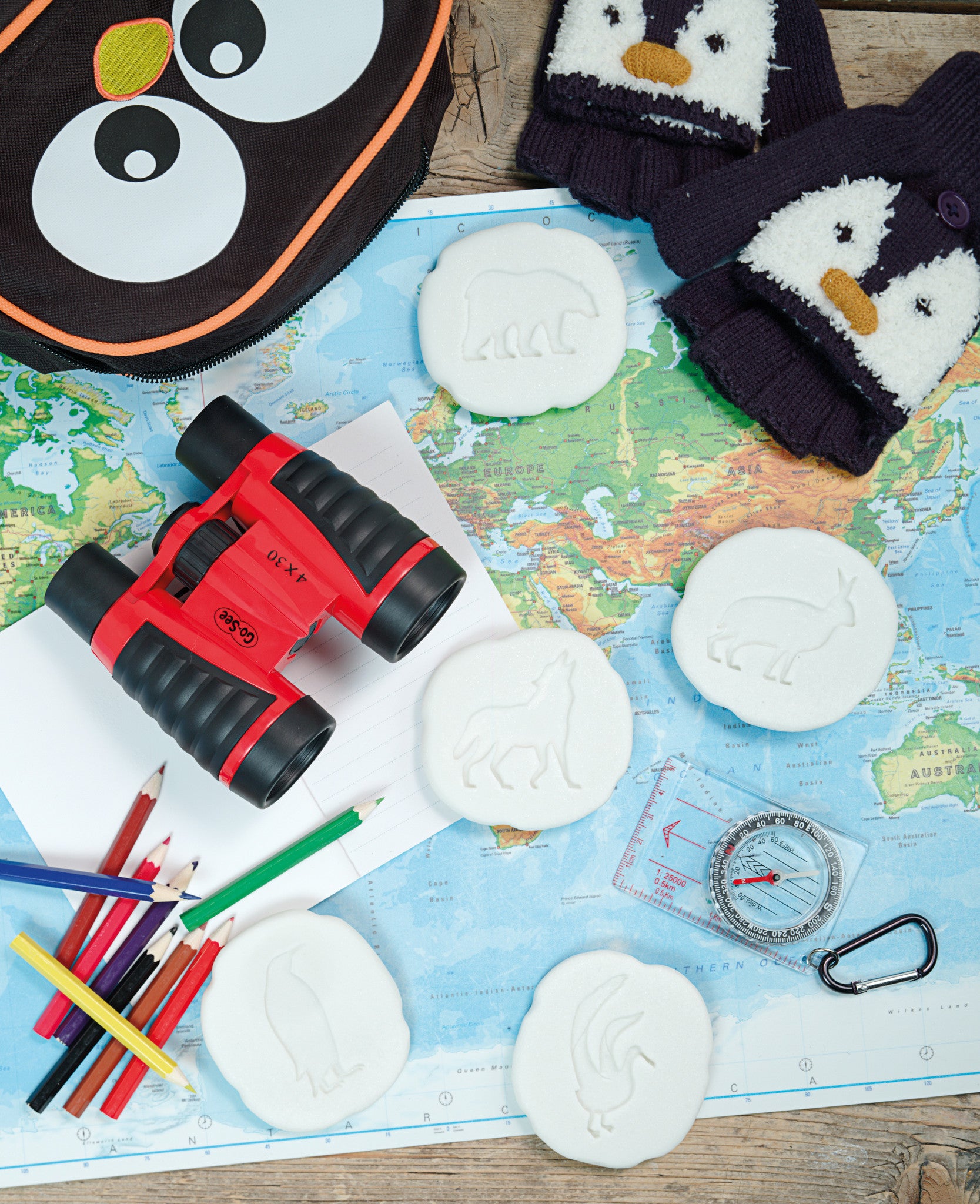 Let's investigate - Pooldieren pootafdrukken