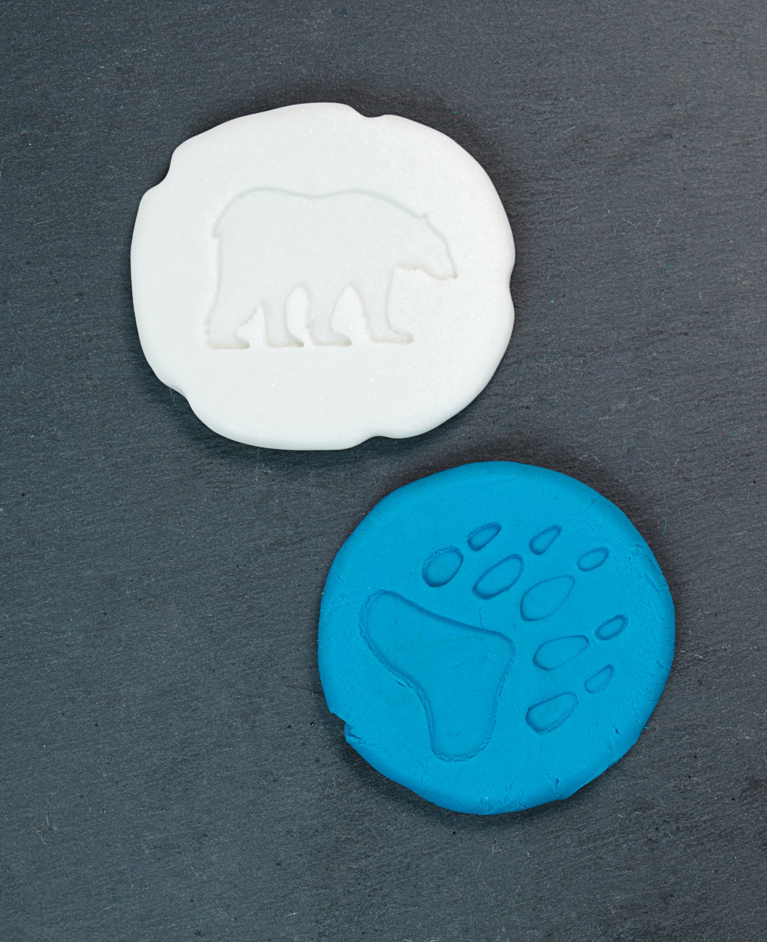 Let's investigate - Pooldieren pootafdrukken