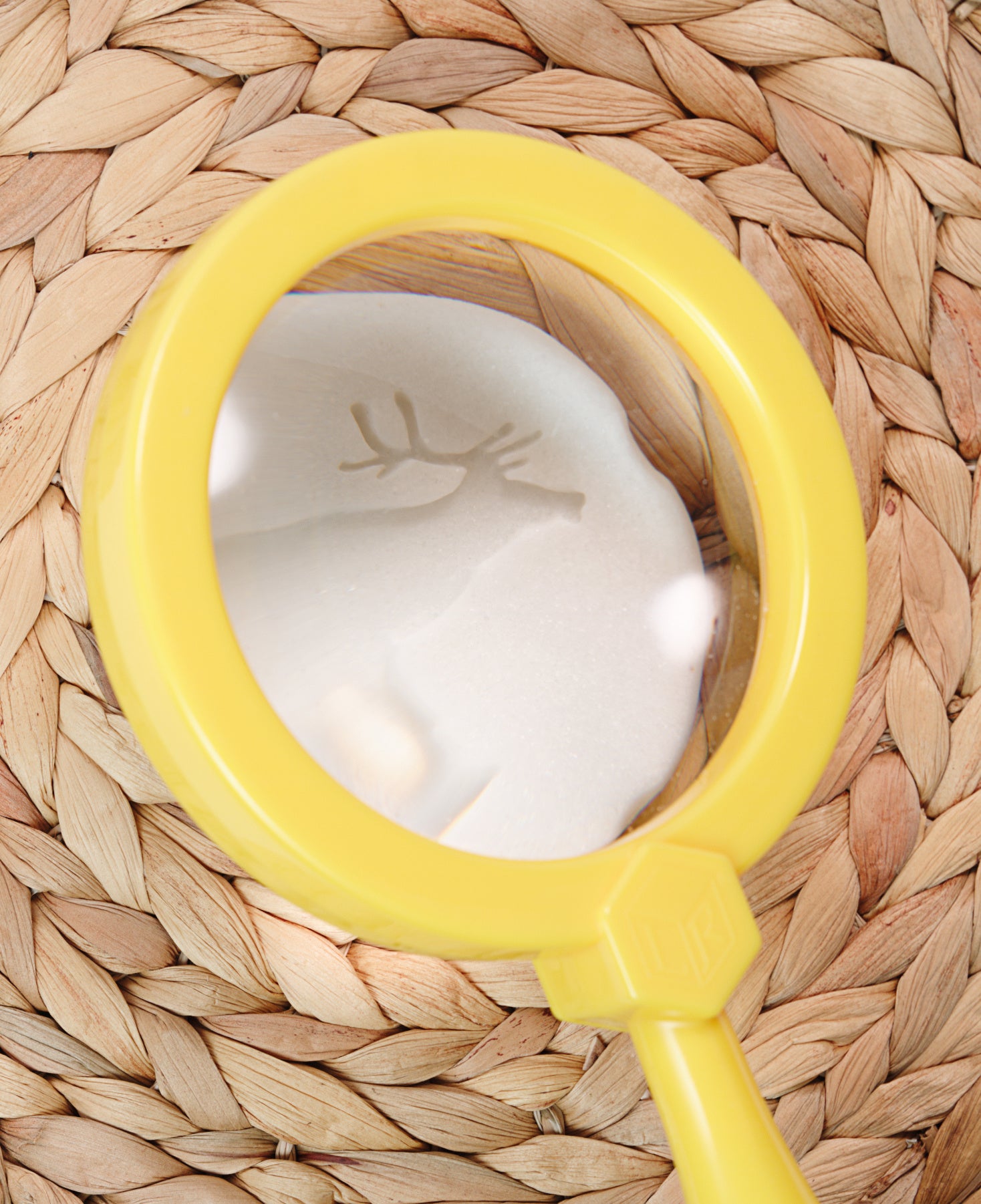 Let's investigate - Pooldieren pootafdrukken