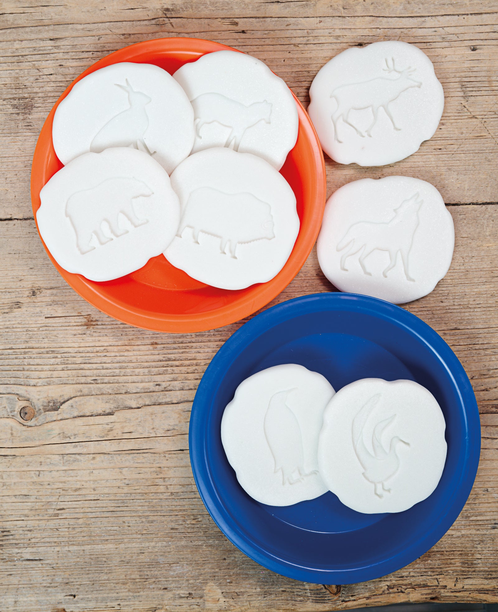 Let's investigate - Pooldieren pootafdrukken