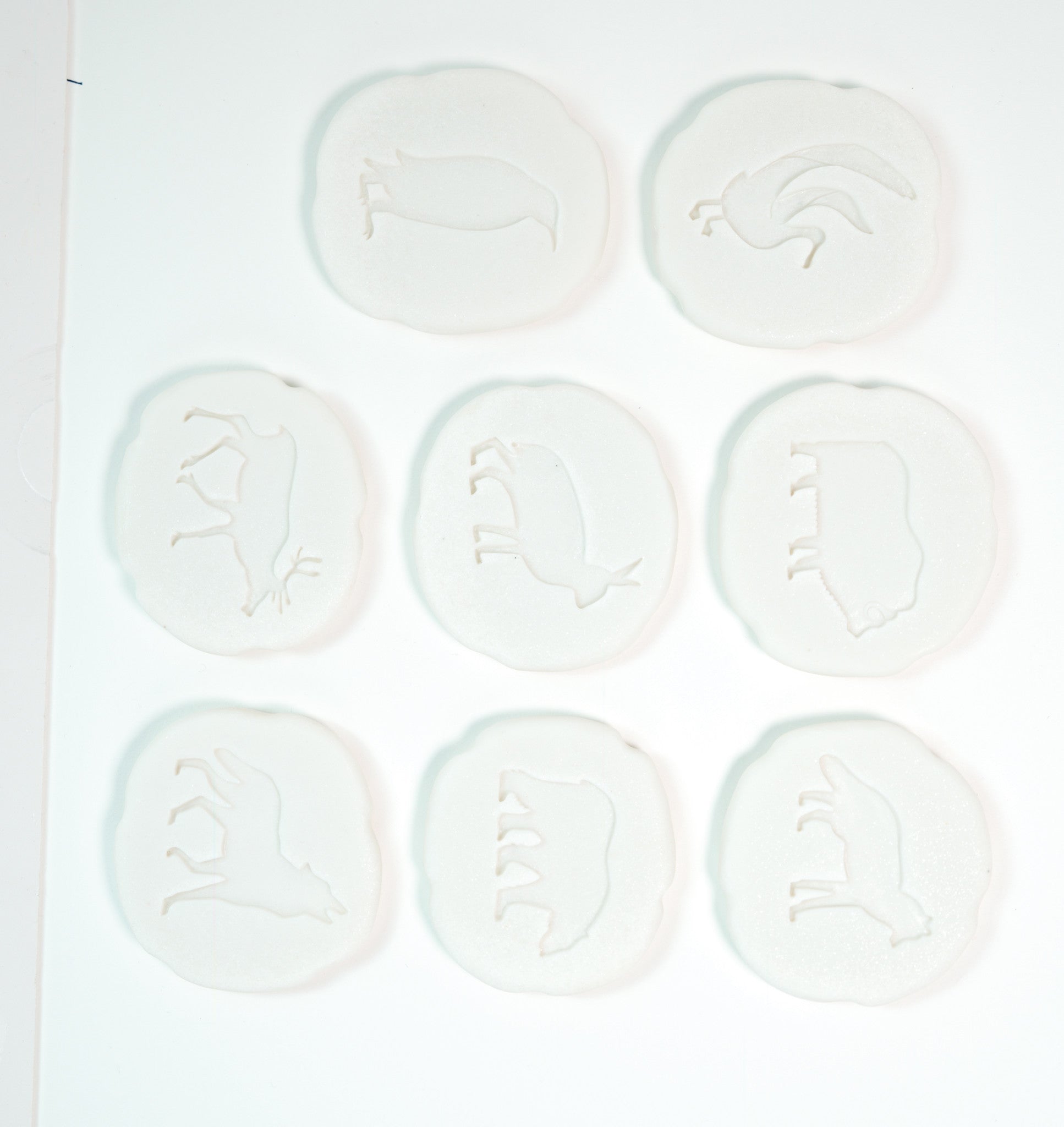 Let's investigate - Pooldieren pootafdrukken