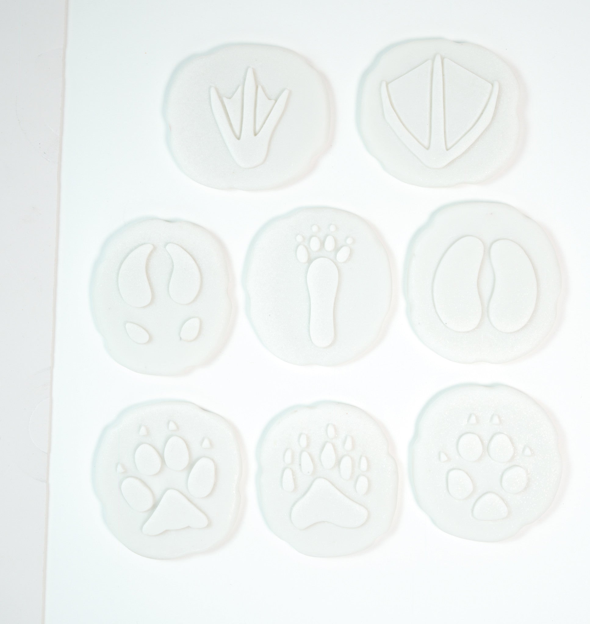 Let's investigate - Pooldieren pootafdrukken