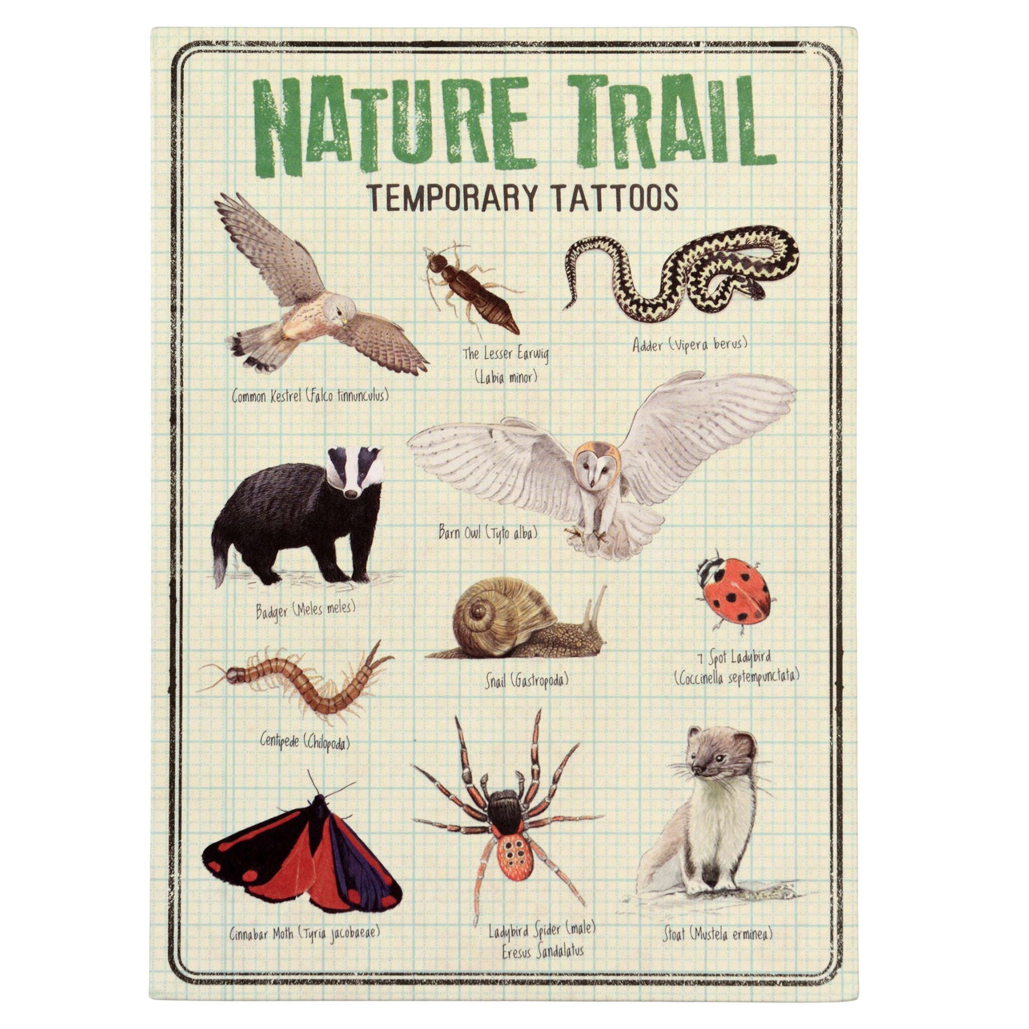 Kindertatoeages - Nature Trail