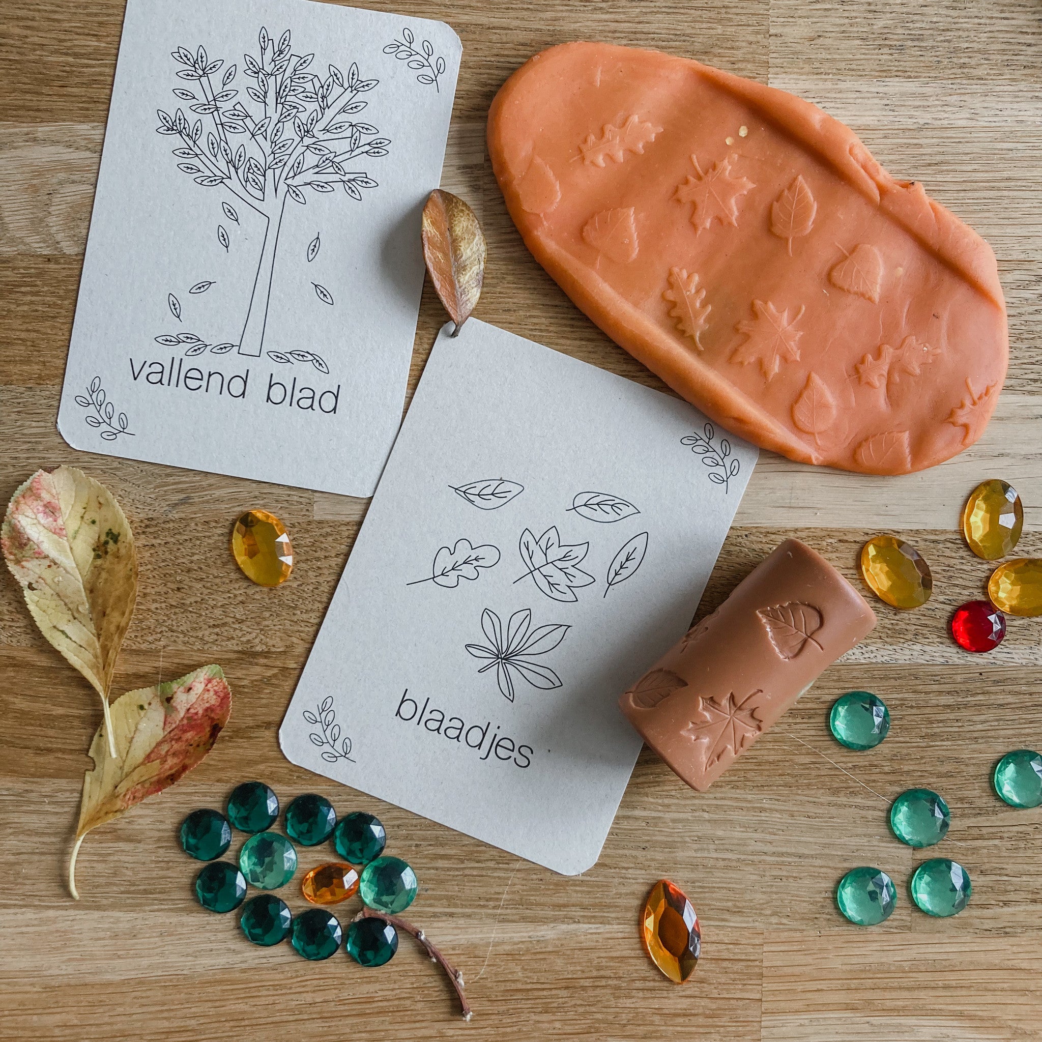 Flashcards Herfst