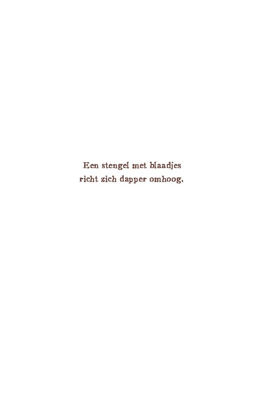 Het begint met een zaadje