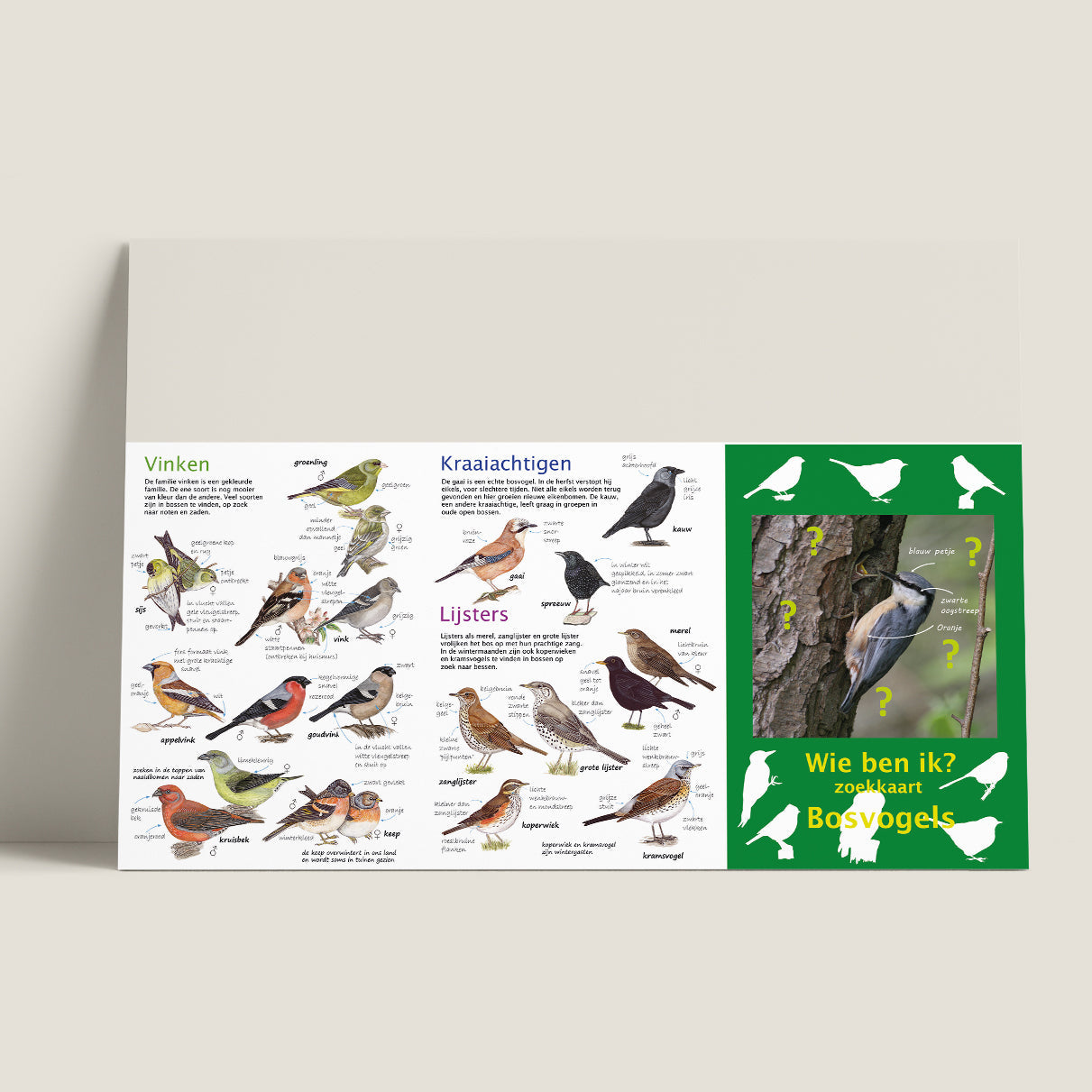 Wie ben ik? Zoekkaart Bosvogels