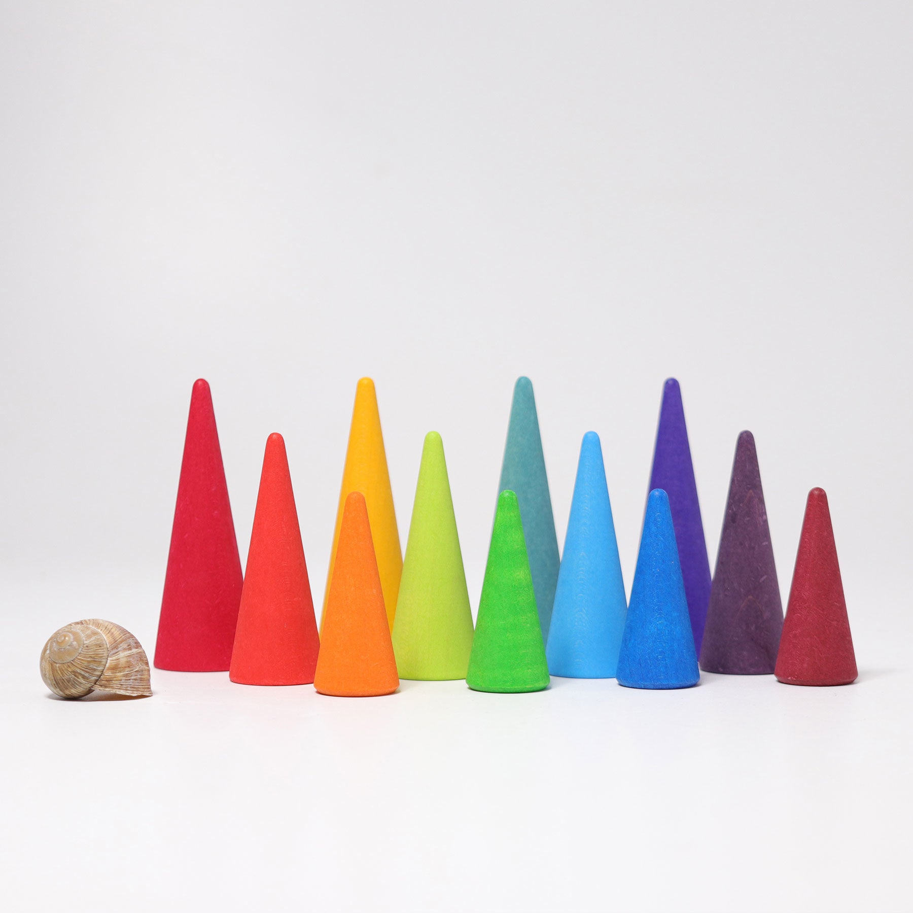 Regenboog bos