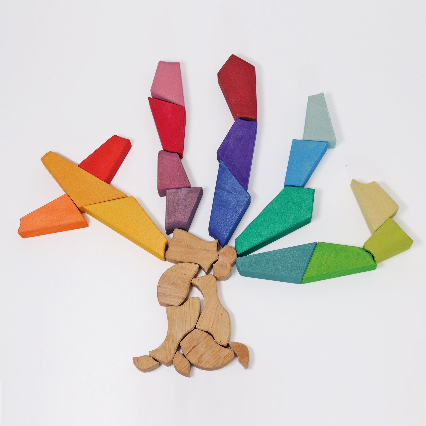Bouwset Regenboog leeuw