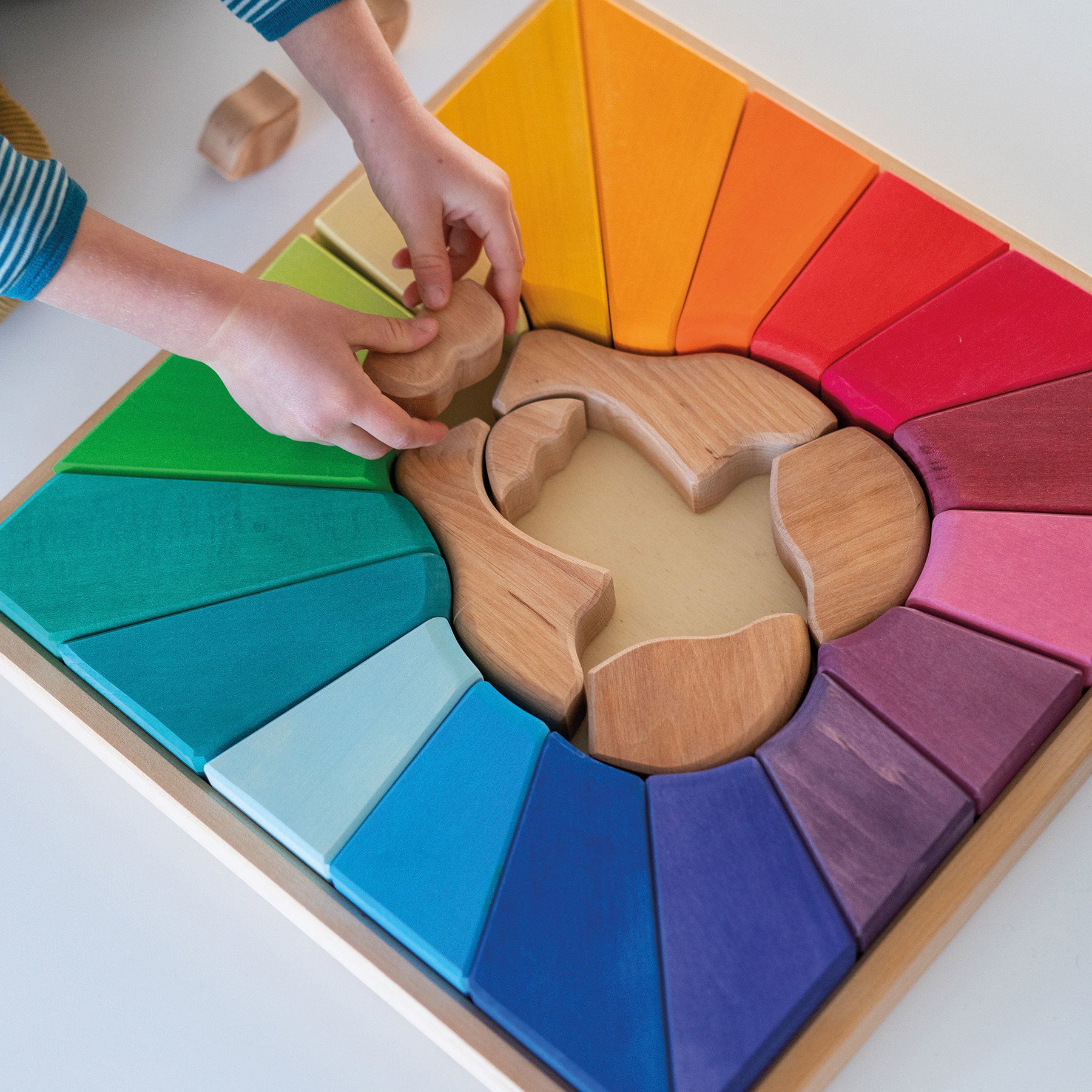 Bouwset Regenboog leeuw