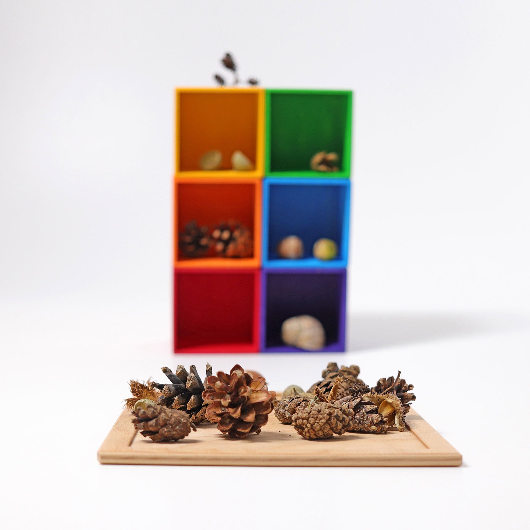 Sorteerbakjes, 6 stuks