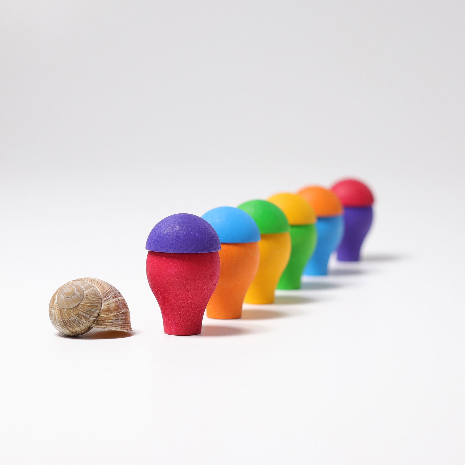 Regenboog Paddenstoelen