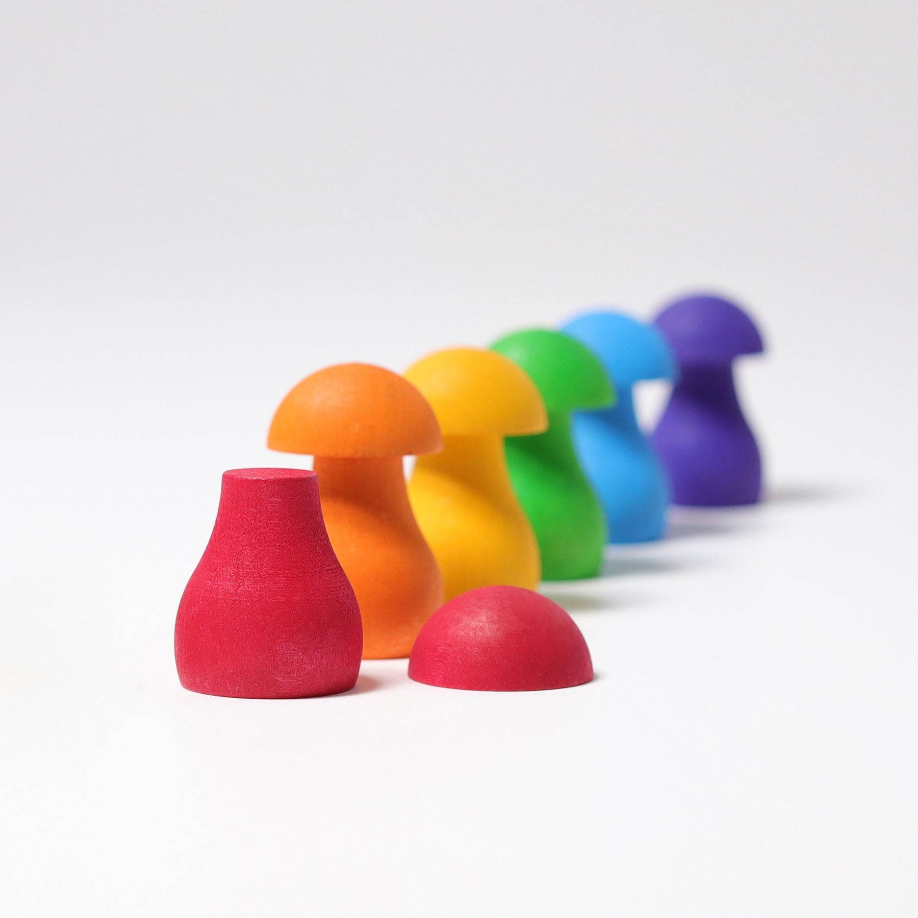 Regenboog Paddenstoelen