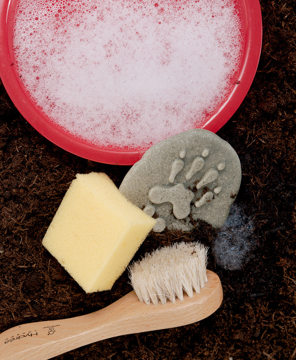 Let's investigate - bosdieren pootafdrukken