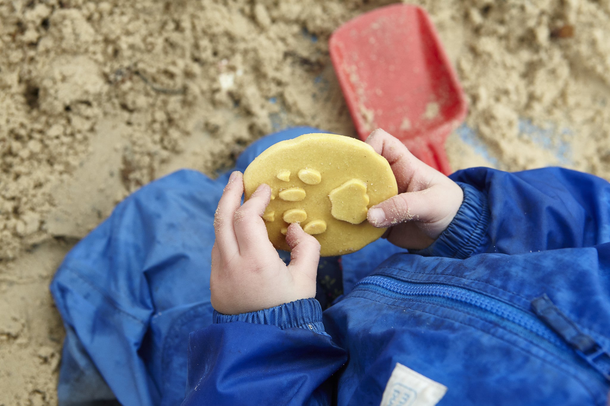 Let's investigate - Safaridieren pootafdrukken