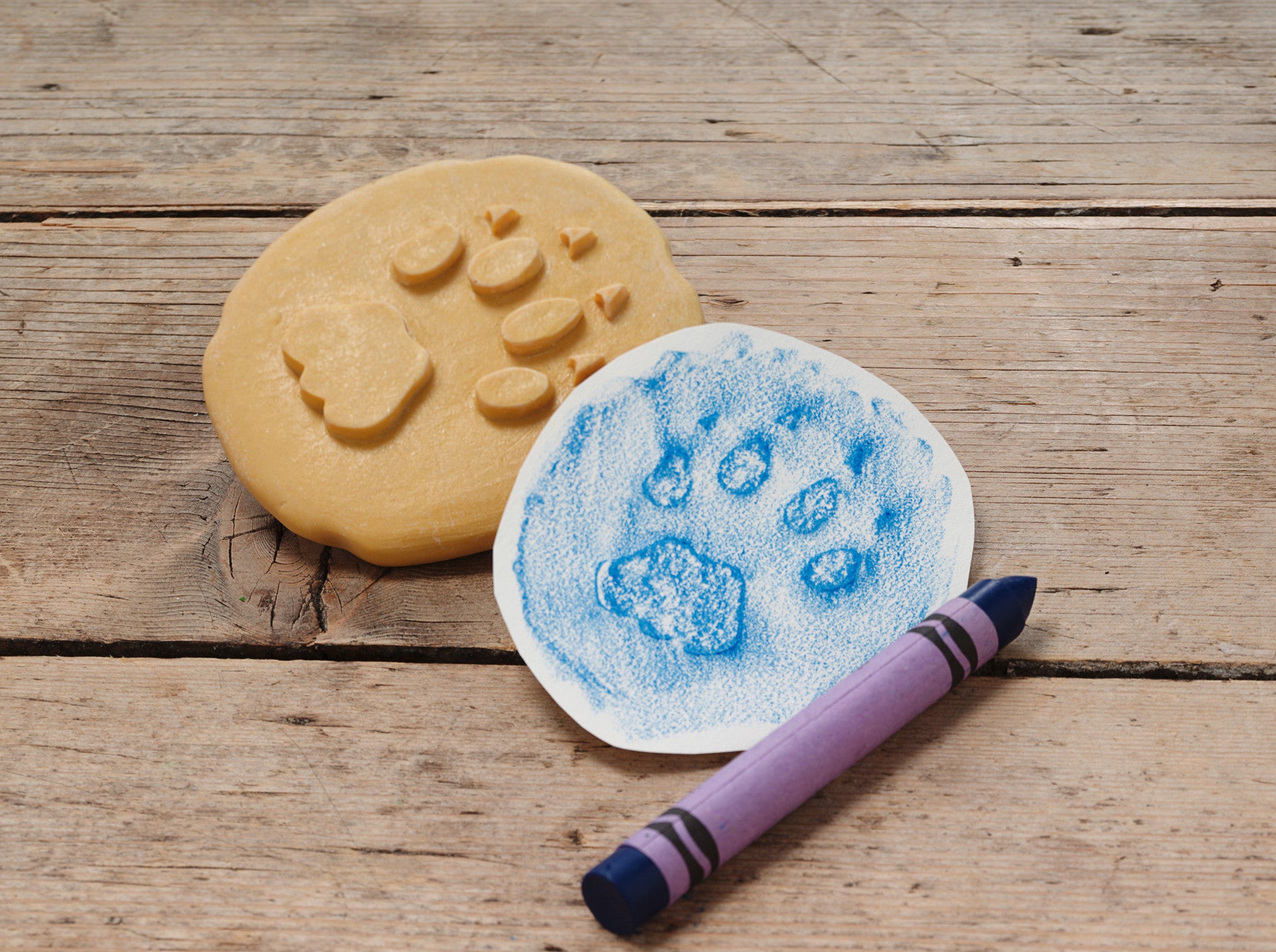 Let's investigate - Safaridieren pootafdrukken
