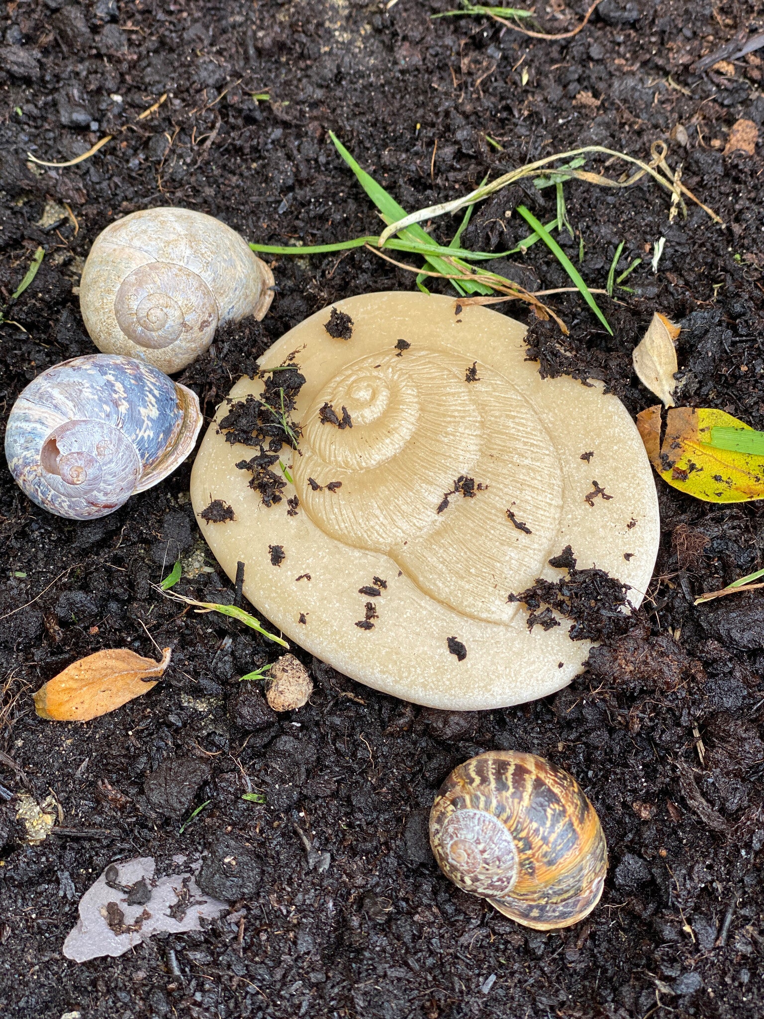 Let's investigate - Nature
