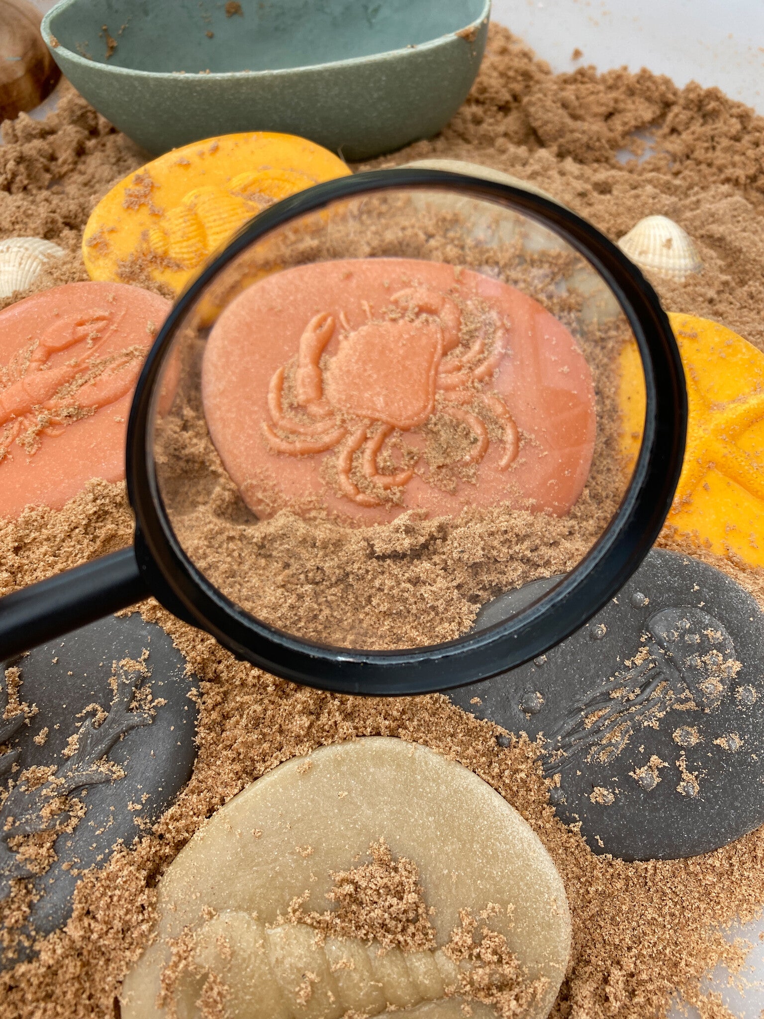 Let's investigate - Seashore