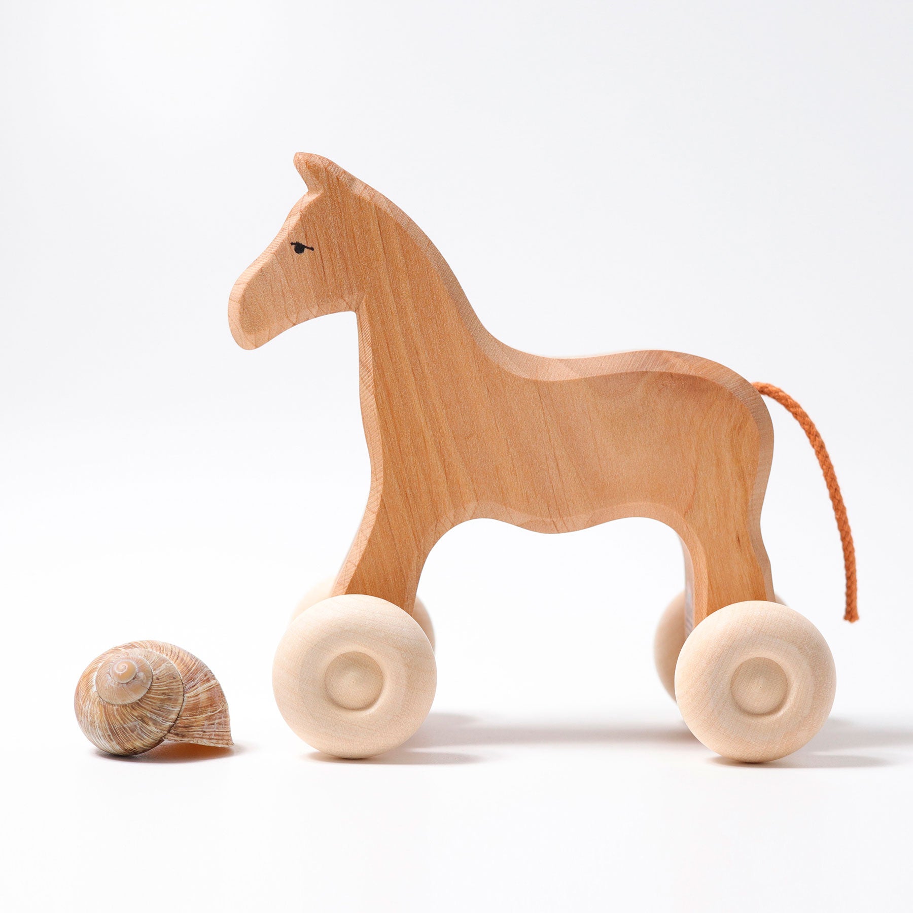 Paard Willy