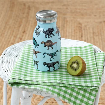 RVS Drinkfles 250ml - Prehistoric Land