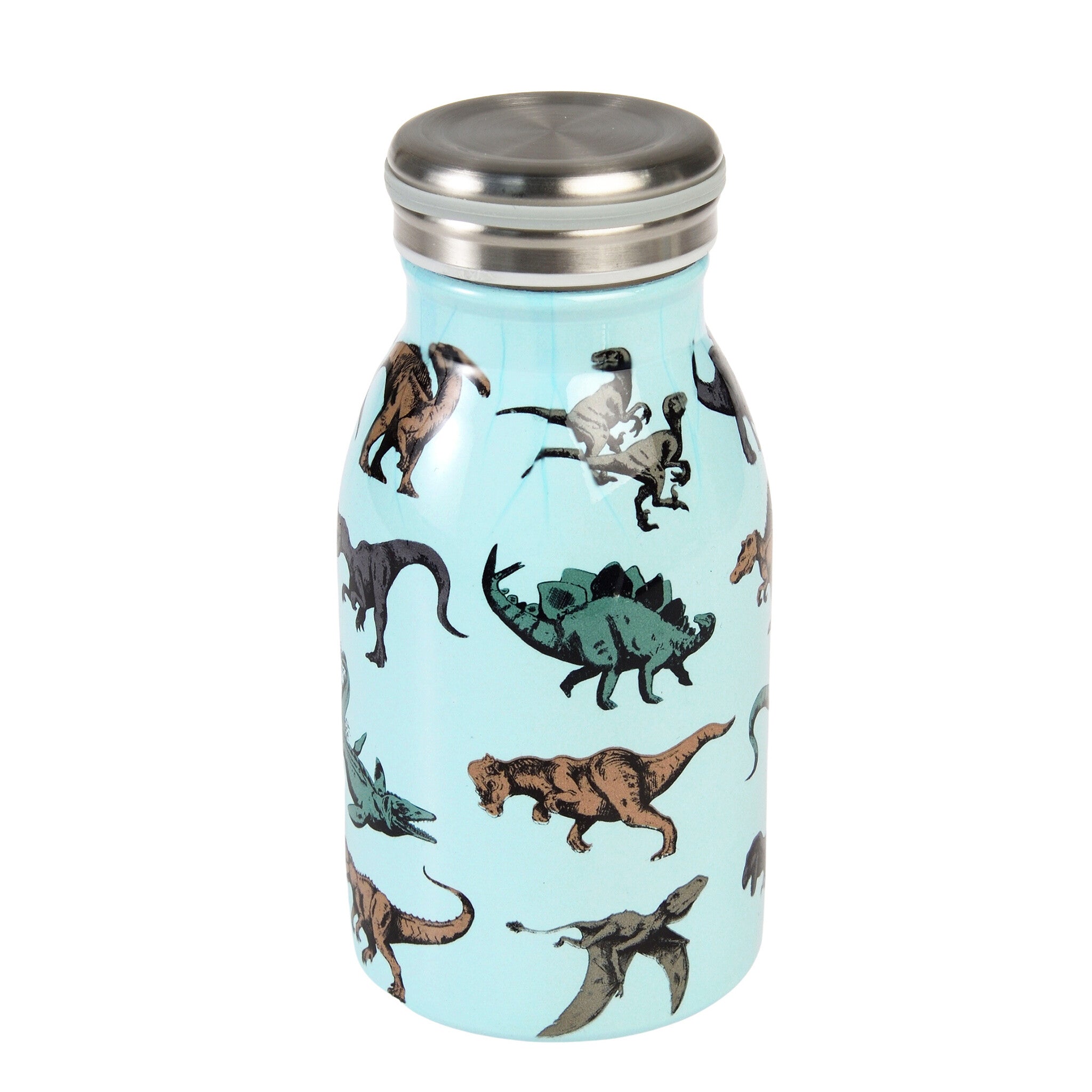 RVS Drinkfles 250ml - Prehistoric Land