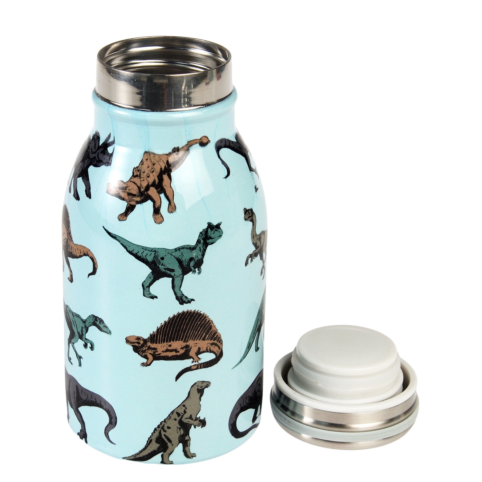 RVS Drinkfles 250ml - Prehistoric Land