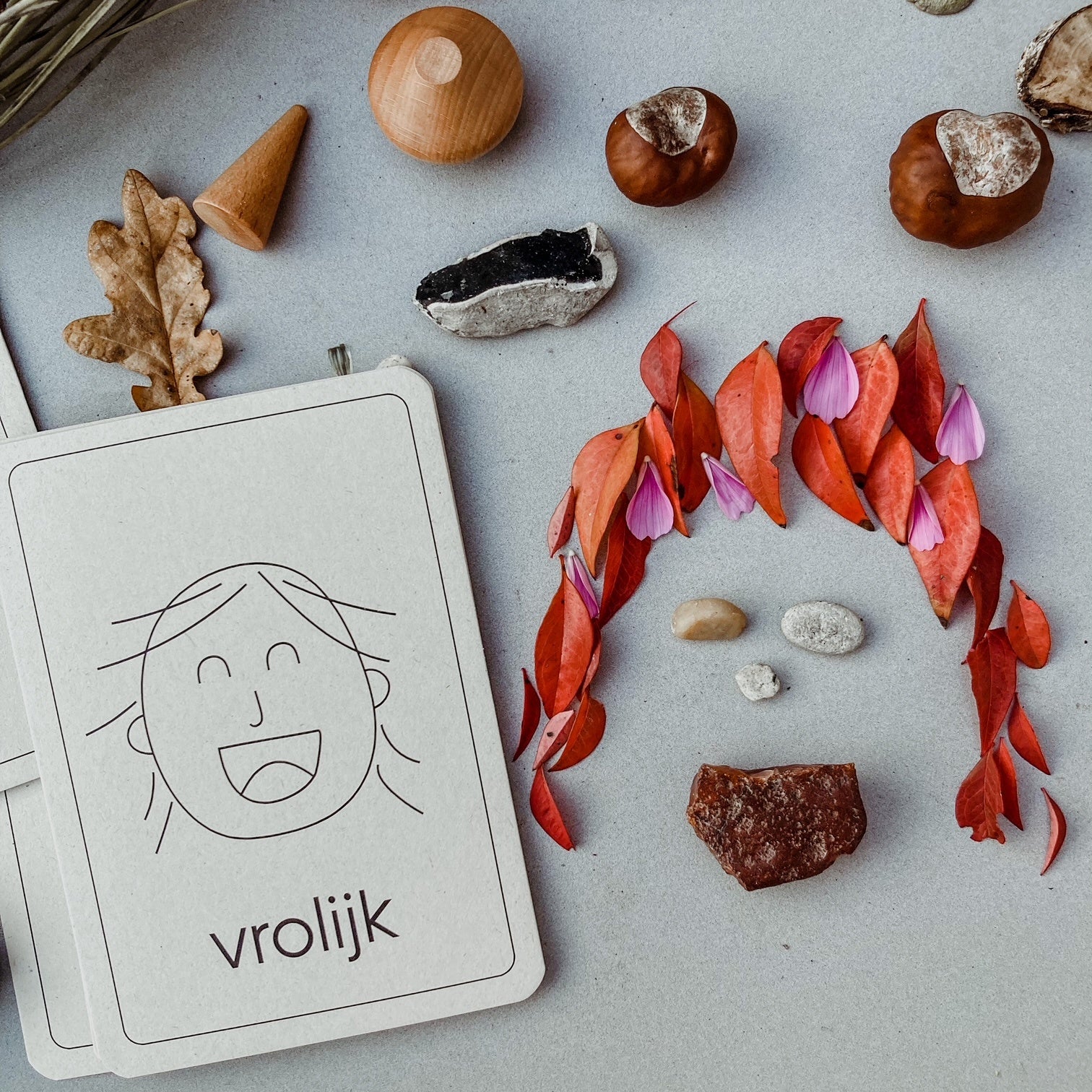 Flashcards Emoties