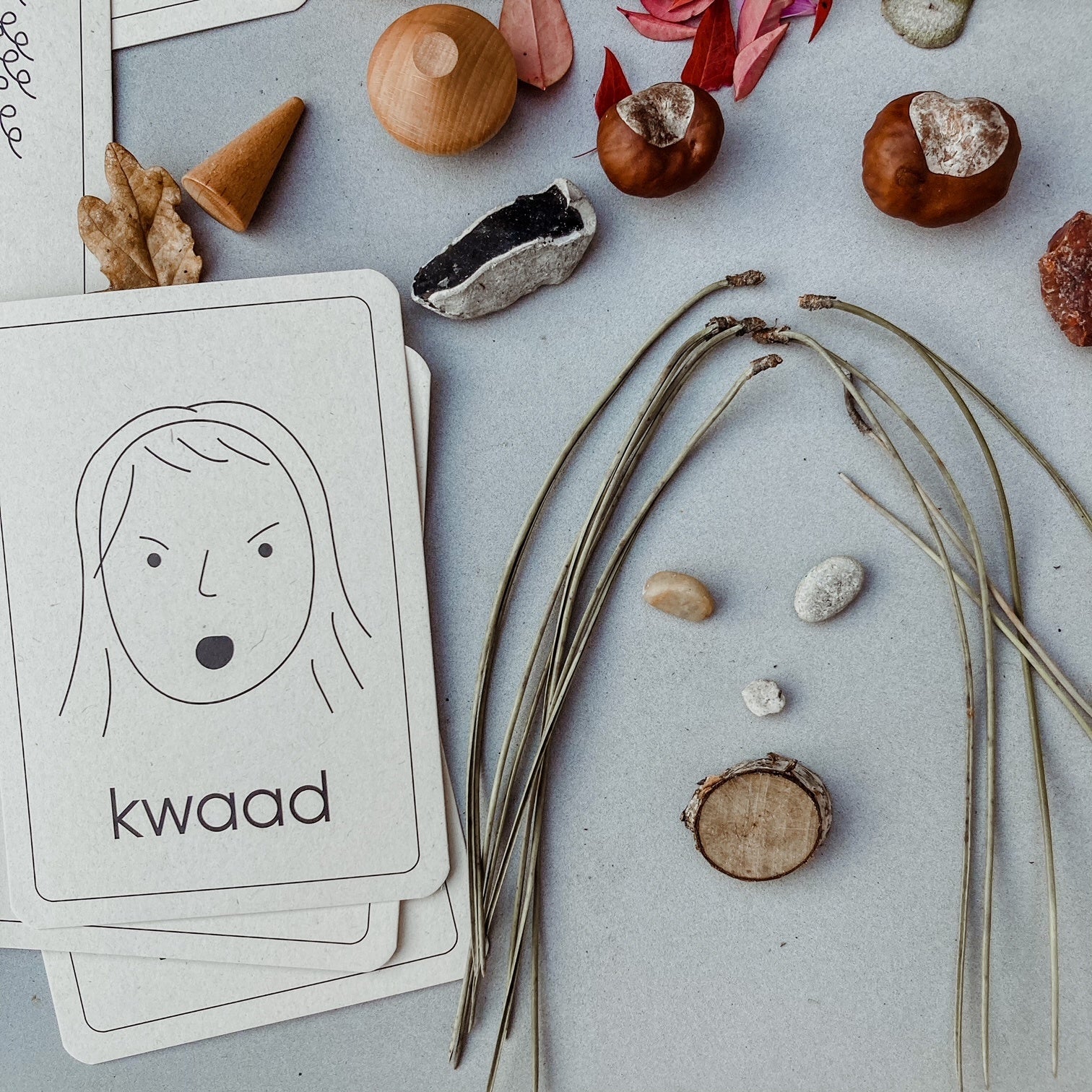 Flashcards Emoties