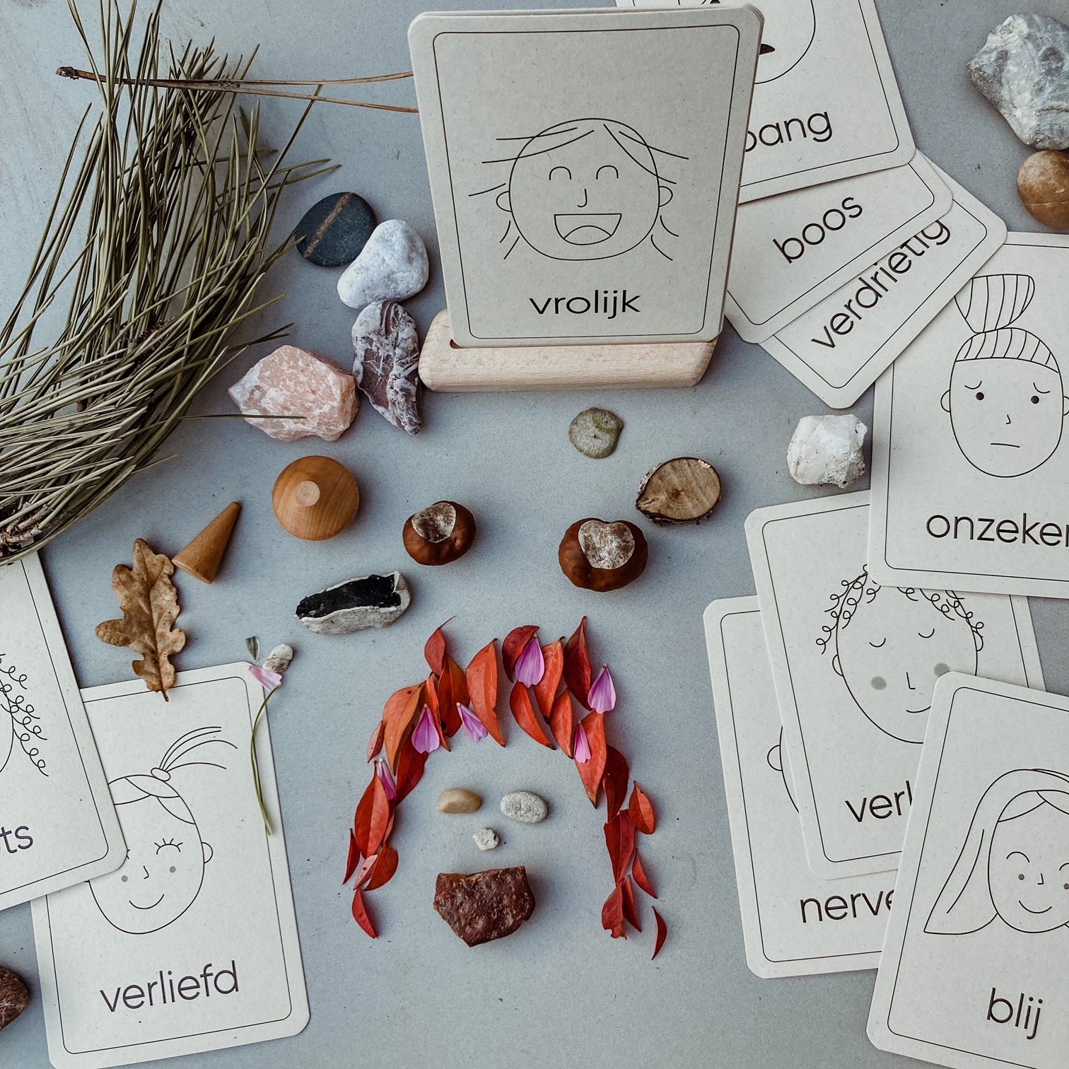 Flashcards Emoties