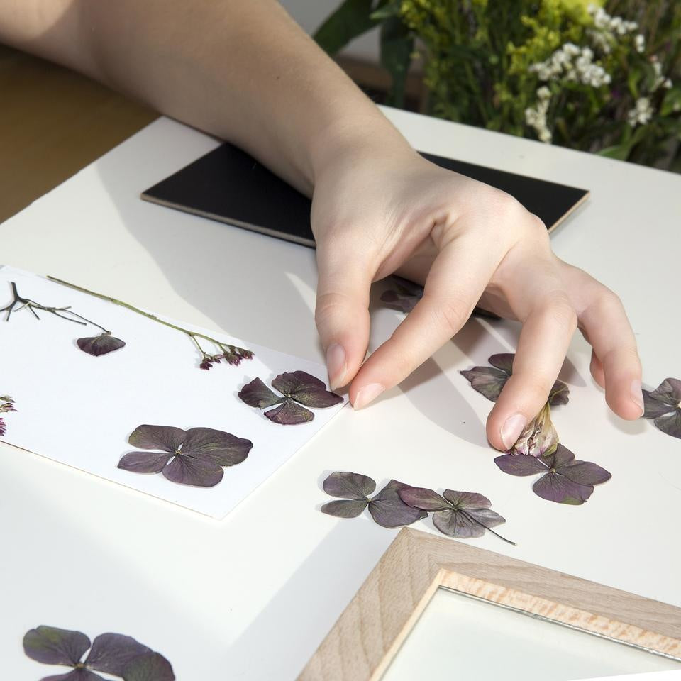 Huckleberry - Lijst voor gedroogde bloemen