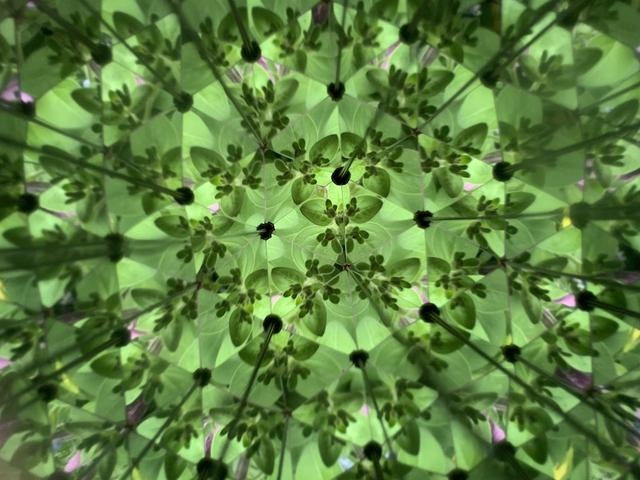 Huckleberry - Kaleidoscope