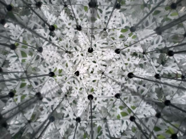 Huckleberry - Kaleidoscope
