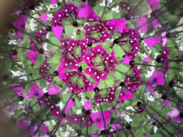 Huckleberry - Kaleidoscope