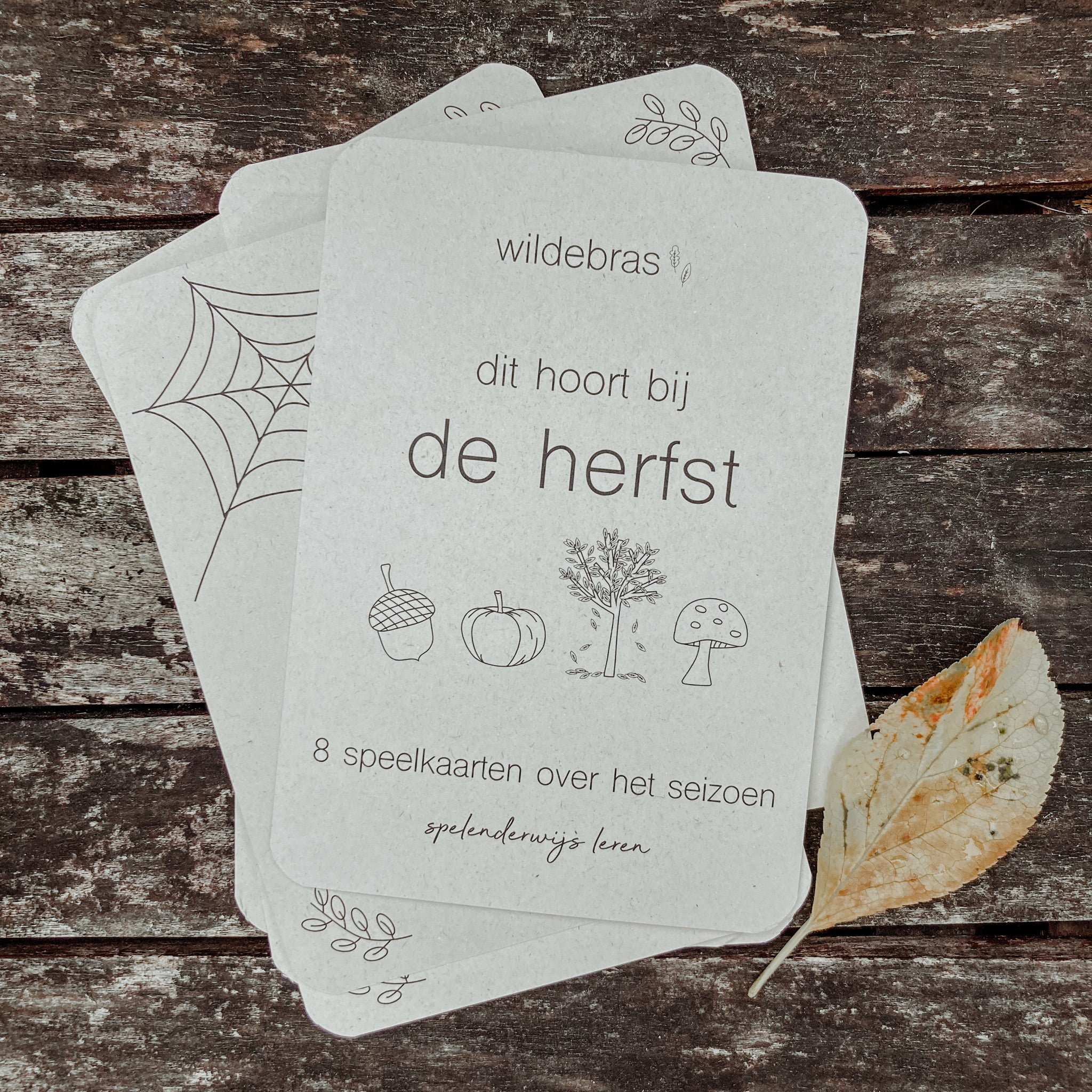 Flashcards Herfst