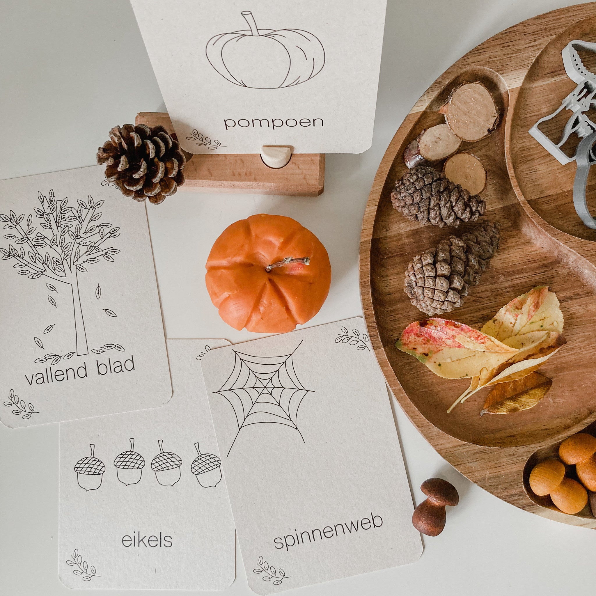 Flashcards Herfst