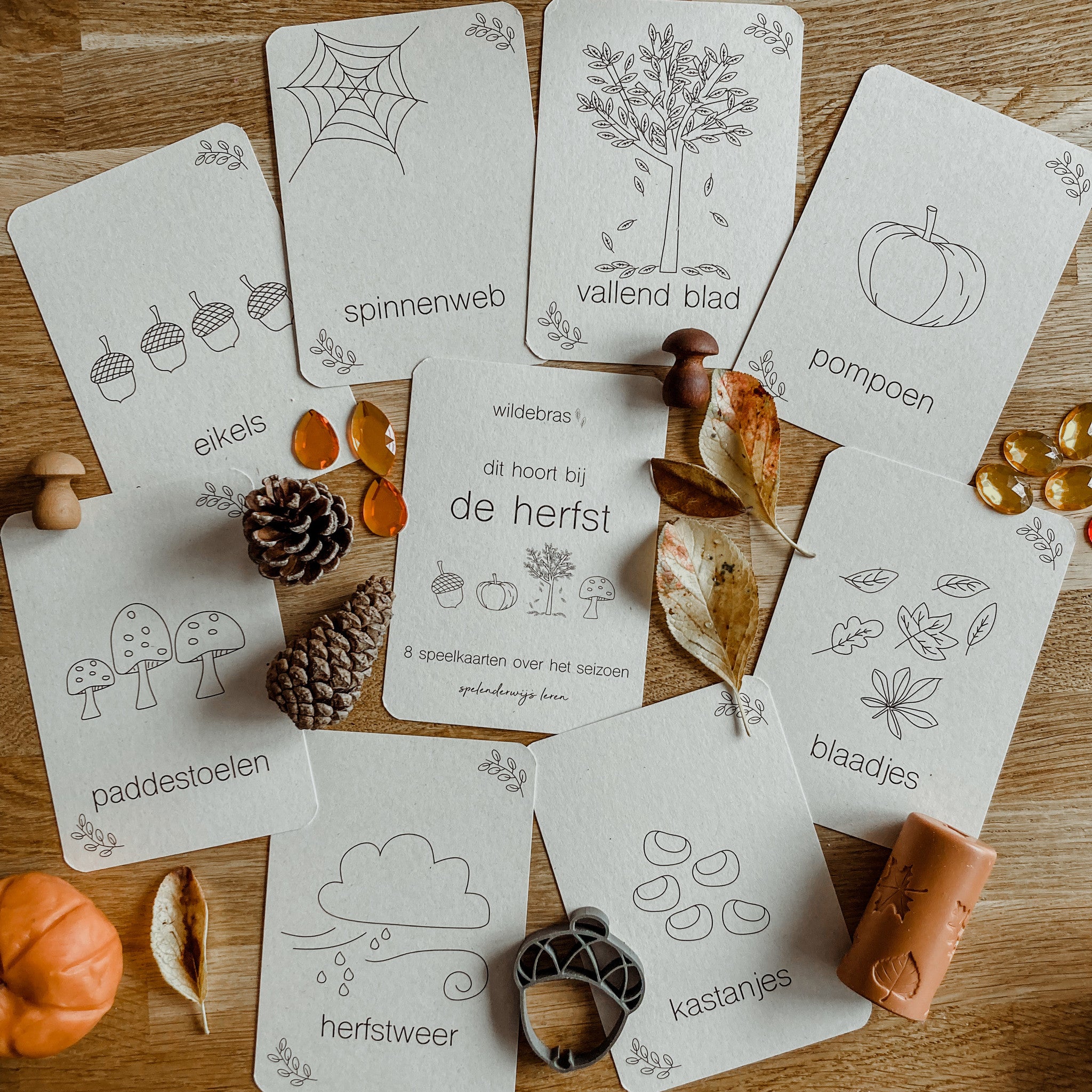 Flashcards Herfst