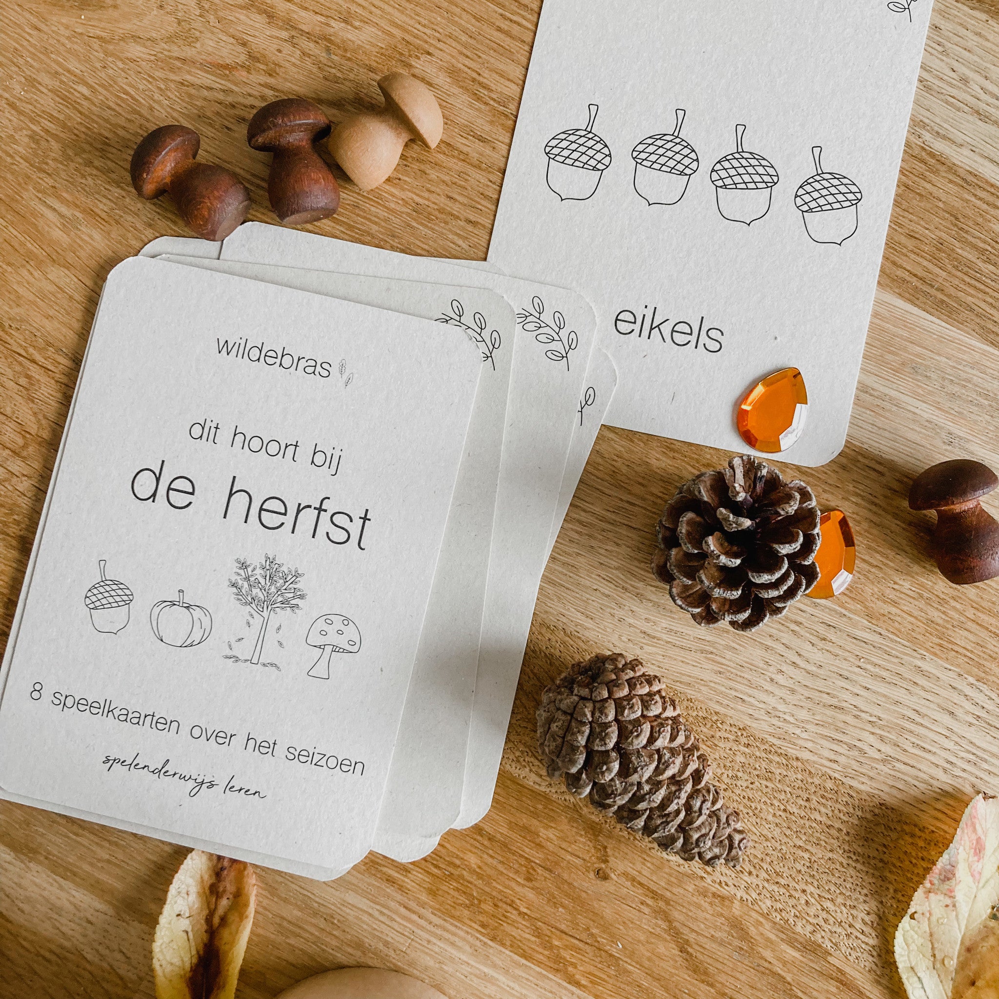 Flashcards Herfst