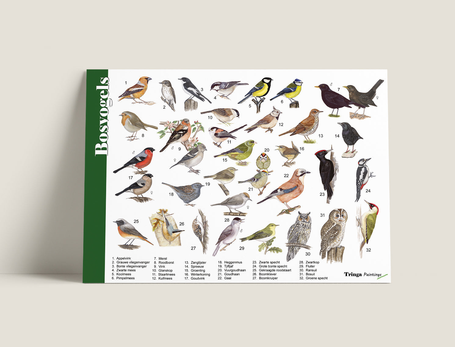 Herkenningskaart Bosvogels