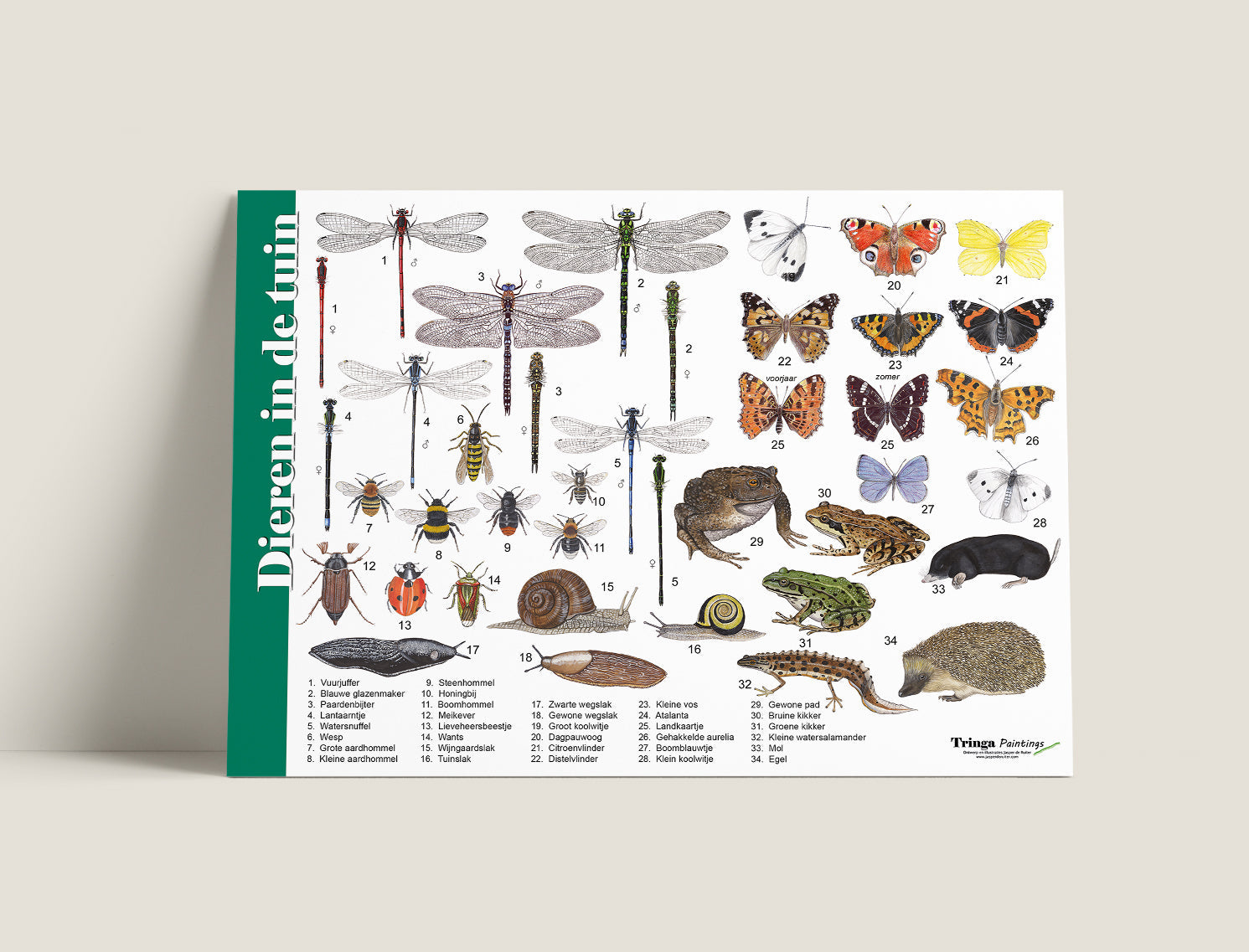 Herkenningskaart Dieren in de tuin