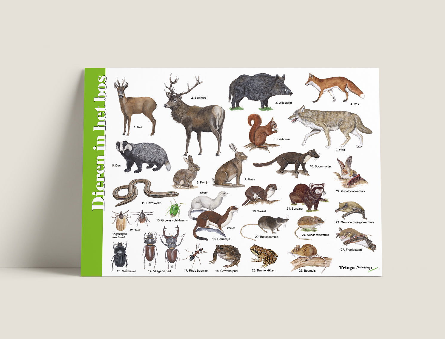 Herkenningskaart Dieren in het bos