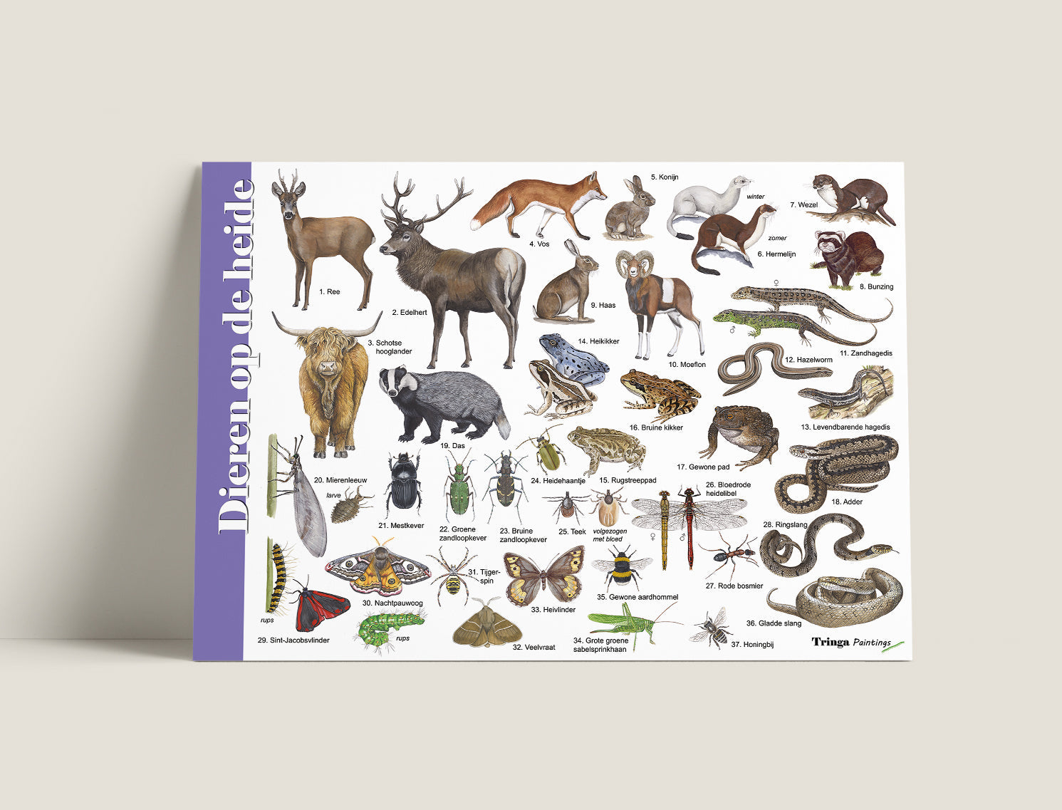 Herkenningskaart Dieren op de heide
