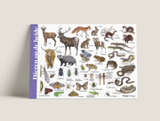 Herkenningskaart Dieren op de heide
