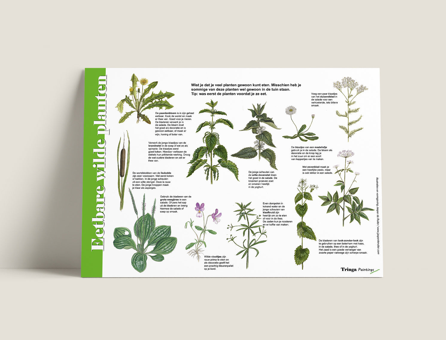 Herkenningskaart Eetbare wilde planten