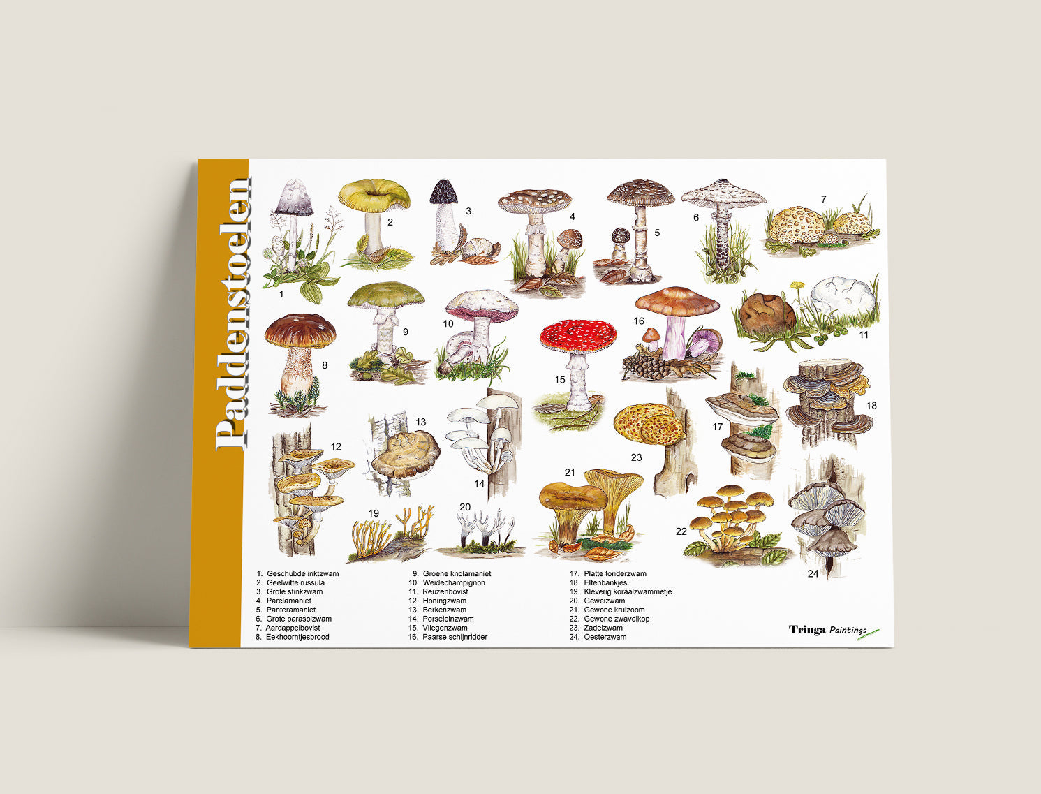 Herkenningskaart Paddenstoelen