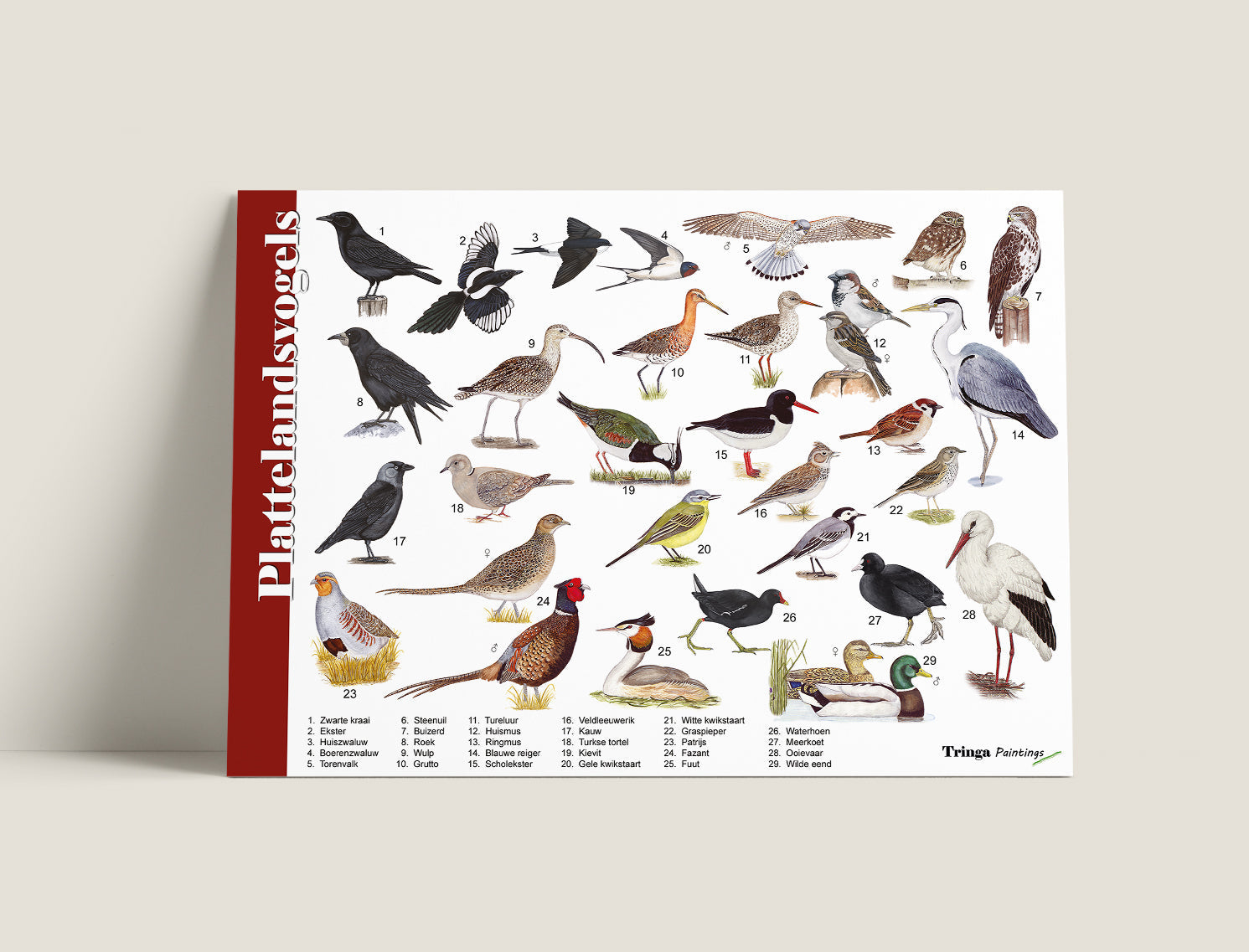 Herkenningskaart Plattelandsvogels