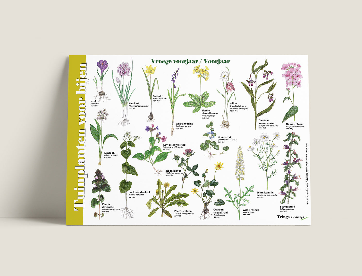 Herkenningskaart Tuinplanten voor bijen