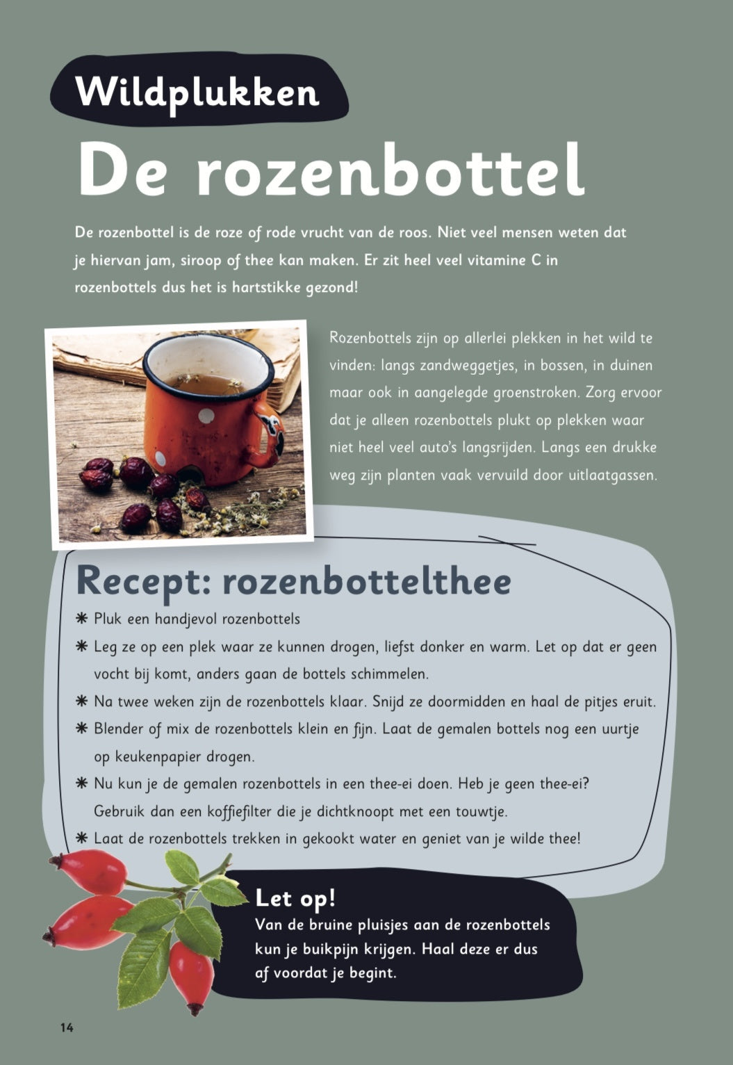 Buitenspeeldoeboek Winter