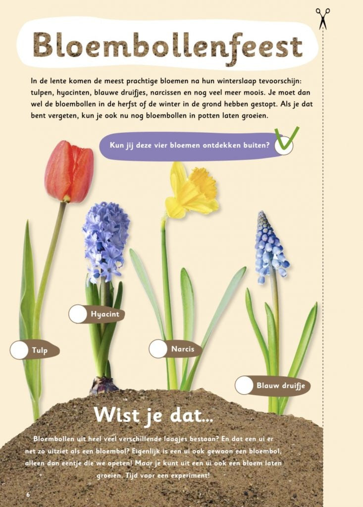 Buitenspeeldoeboek Lente