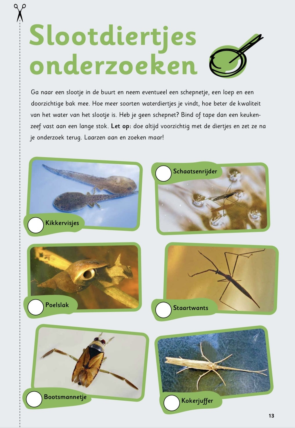 Buitenspeeldoeboek Lente